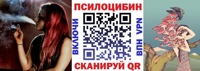 Псилоцибиновые грибы мицелий  Купить  Ковылкино 